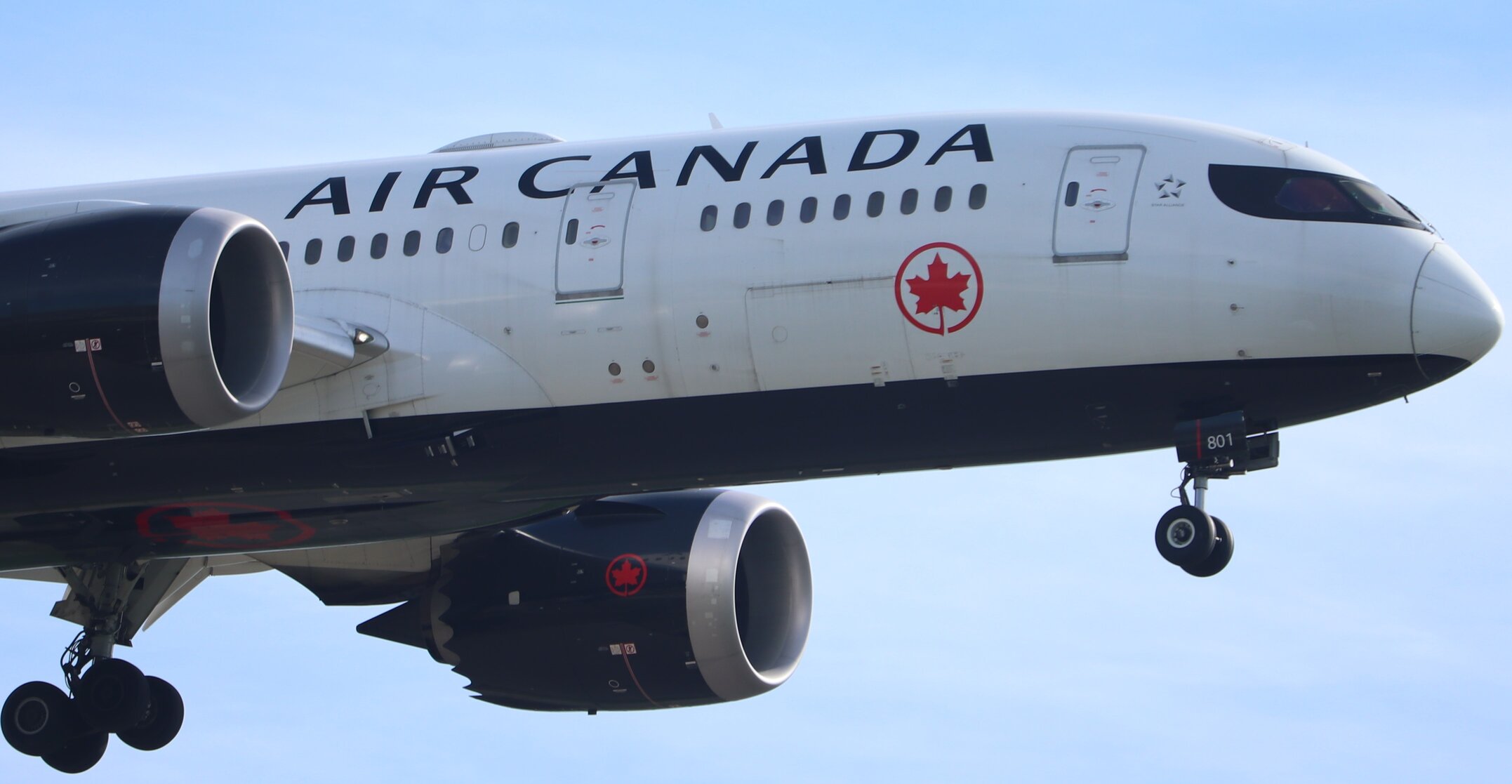 Air Canada must honour refund policy its chatbot invented, court rules